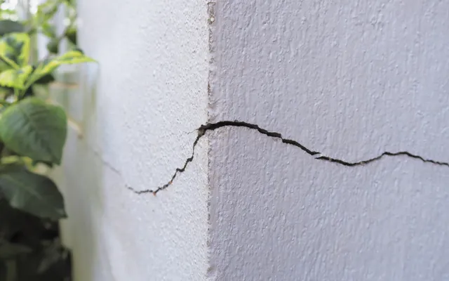 Professional technician checking wall level during home foundation inspection